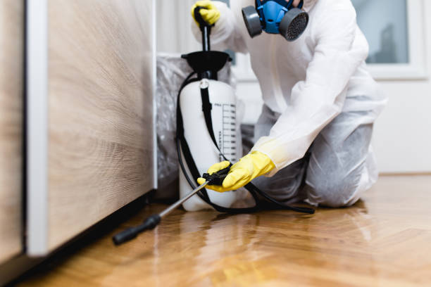 Best Pest Prevention Services  in Kulpsville, PA
