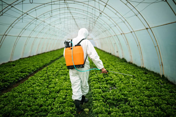 Best Pest Inspection Near Me  in Kulpsville, PA