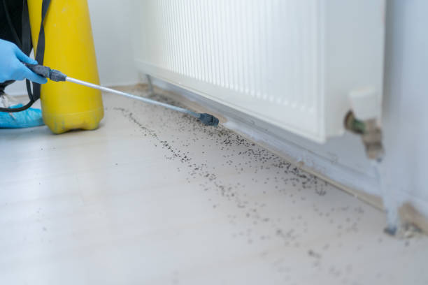 Best Local Pest Control Services  in Kulpsville, PA
